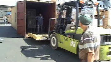 Automatic unloading timber from container | ACRES - exports of wood from Ukraine