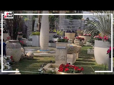 جمال الزهور هيبهر عنيك أرخص مكان بيبيع ورد وزهور ونباتات فى مصر