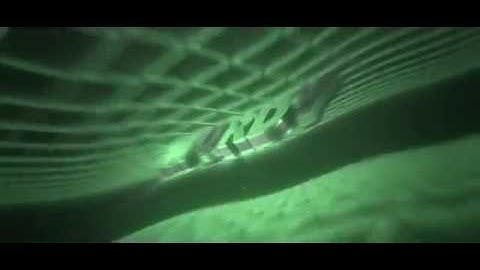 Murdy   Intro   Dual with MonsterArtz