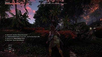 Rebel solders - Bugs - Patch 1.13 - Horizon Forbidden West