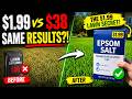 I Stopped Buying $38 Lawn Supplements — This $1.99 Epsom Salt Trick Made My Grass Greener Than Ever!