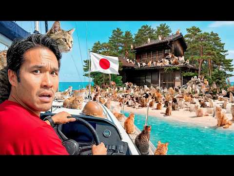 Japan Offered Me a Free House on a Cat Island. I Had to Decide.