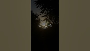 فأما اليتيم فلا تقهر * وأما السائل فلا تنهر | سورة الضحى | ماهر المعيقلي