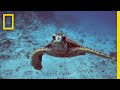 Climate Change and Its Impact on Oceans