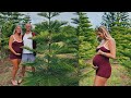 Christmas tree shopping island style  shanes birt.ay vlog
