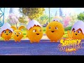 Sunny Bunnies | 써니 버니즈 - 곡식 | 어린이를위한 재미있는 만화 | WildBrain