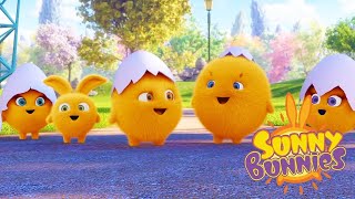 Sunny Bunnies | 써니 버니즈 - 곡식 | 어린이를위한 재미있는 만화 | WildBrain