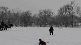 "Stara Cegielnia" - Gładyszów 2019. Rekonstruktorzy w siodle. Pierwsze lekcje musztry.