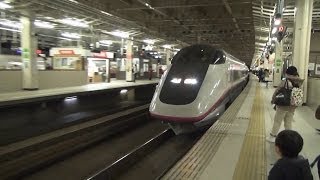 E5系+E3系3045Bはやて・こまち45号他 E3系最後のこまち