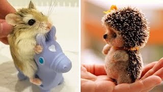 Cute baby animals Videos Compilation cutest moment of the animals - Soo Cute! #9