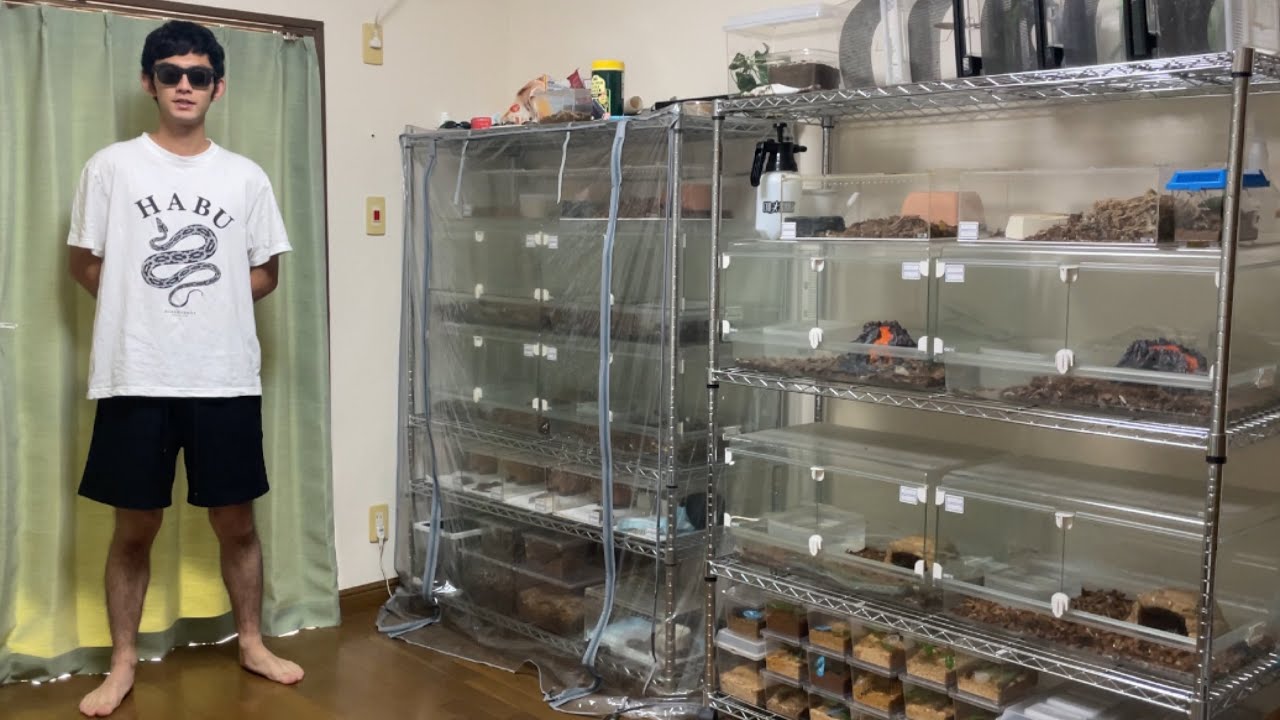 100匹以上の生き物と暮らす昆虫採集YouTuberの全生き物紹介と1日ルーティン