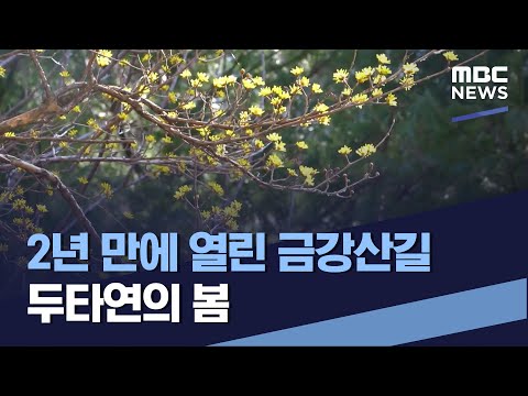 2년 만에 열린 금강산길 두타연의 봄 (2022.04.09/통일전망대/MBC)