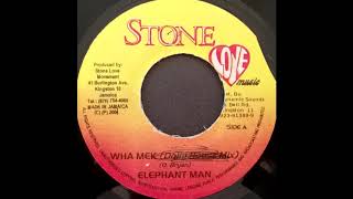 Elephant Man & Fire Steve - Wha Mek