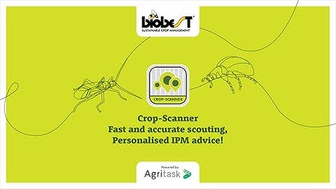 Crop-Scanner - Fast and accurate scouting, personalised IPM advice