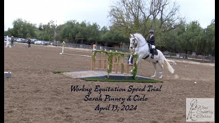 Sarah Pinney Working Equitation Speed Trial by Alanna Light 179 views 10 days ago 4 minutes, 34 seconds