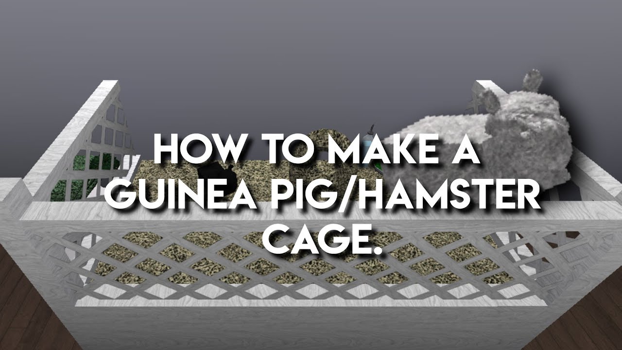 How to make a guinea pig/hamster cage Roblox Bloxburg YouTube