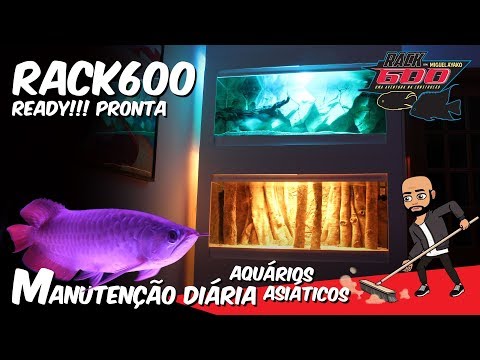 Final do Projeto RACK600 - Manutenção e Alimentação dos Asiáticos