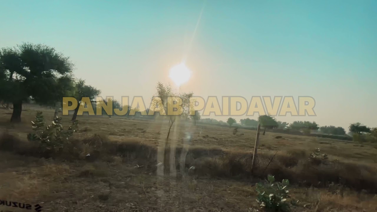 ਹੁਣ ਸ਼ੁਰੂ ਹੋਇਆ ਪਿਓਰ ਰਾਜਸਥਾਨ panjaab paidavar ਪੰਜਾਬ ਪੈਦਾਵਾਰ