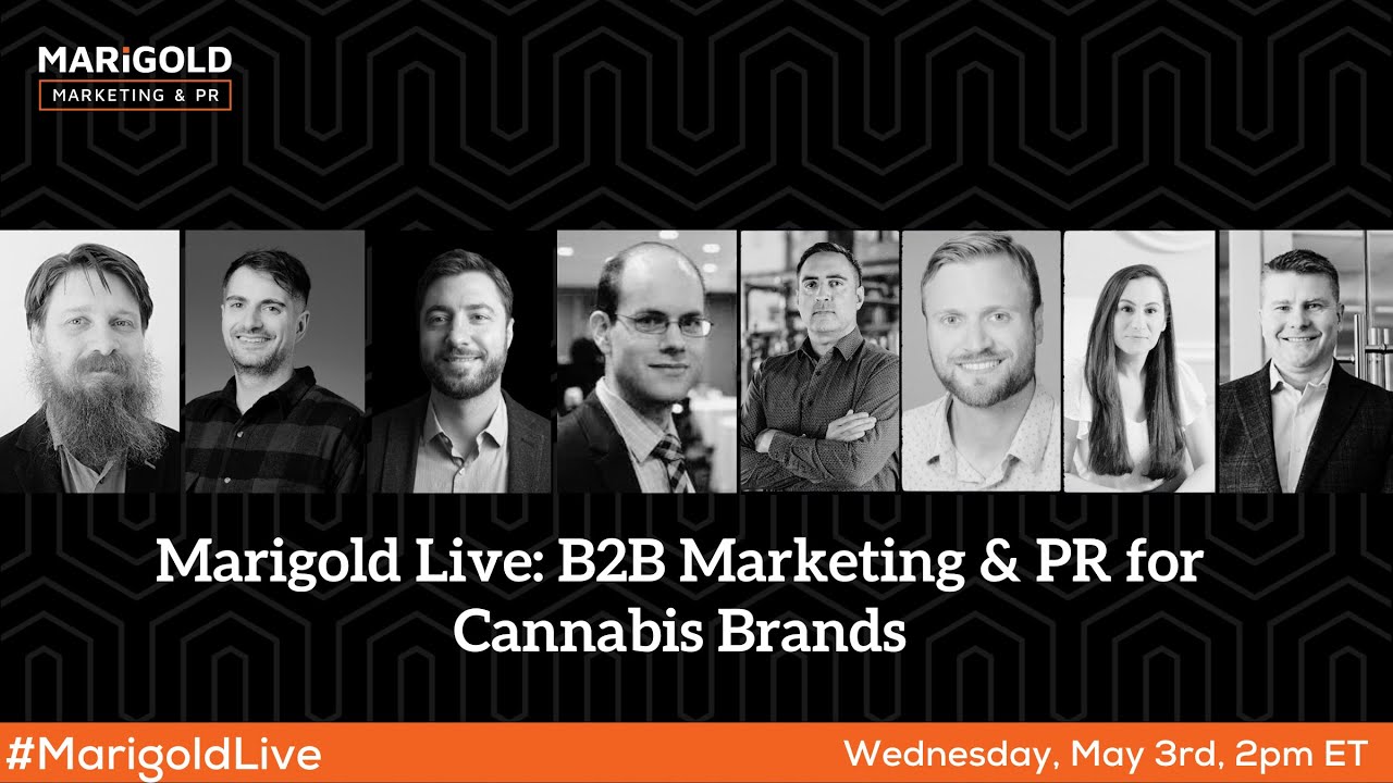 Marigold Live  B2B Marketing + PR for Cannabis Brands