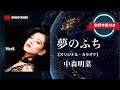夢のふち (オリジナル・カラオケ)/中森明菜 (歌詞字幕付き) アルバム「Stock」収録曲。