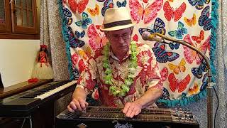 Tiny Bubbles.  Steel guitar Hawaiian song.
