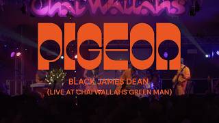 Pigeon - Black James Dean (Live at Chai Wallahs Greenman 26)