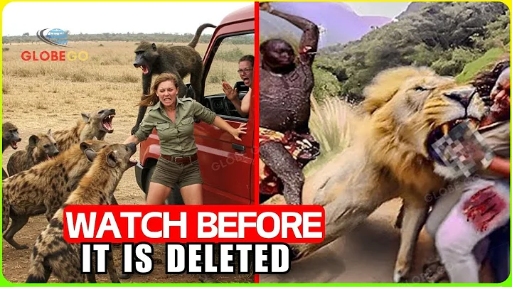 Incredible African Safari Trips Incidents You Wouldn't Believe Without Video - Documentary
