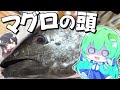 【ゆっくり料理】早苗はマグロの頭を捌いてみる！【ゆっくり実況】【さなミラ】