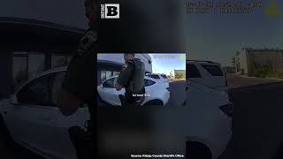 Elderly Woman Ends Up Trapped in Tesla After Her Granddaughter Leaves Her in Car in Pet Safe Mode