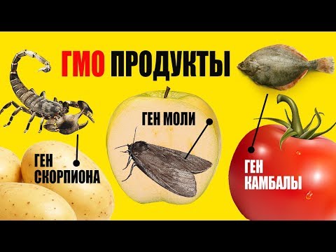 Вот Как Отличить ГМО Продукты от натуральных