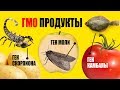 Еда ГМО. Генетически Модифицированные Продукты которые лучше не есть