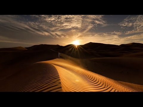 ولا هنسى