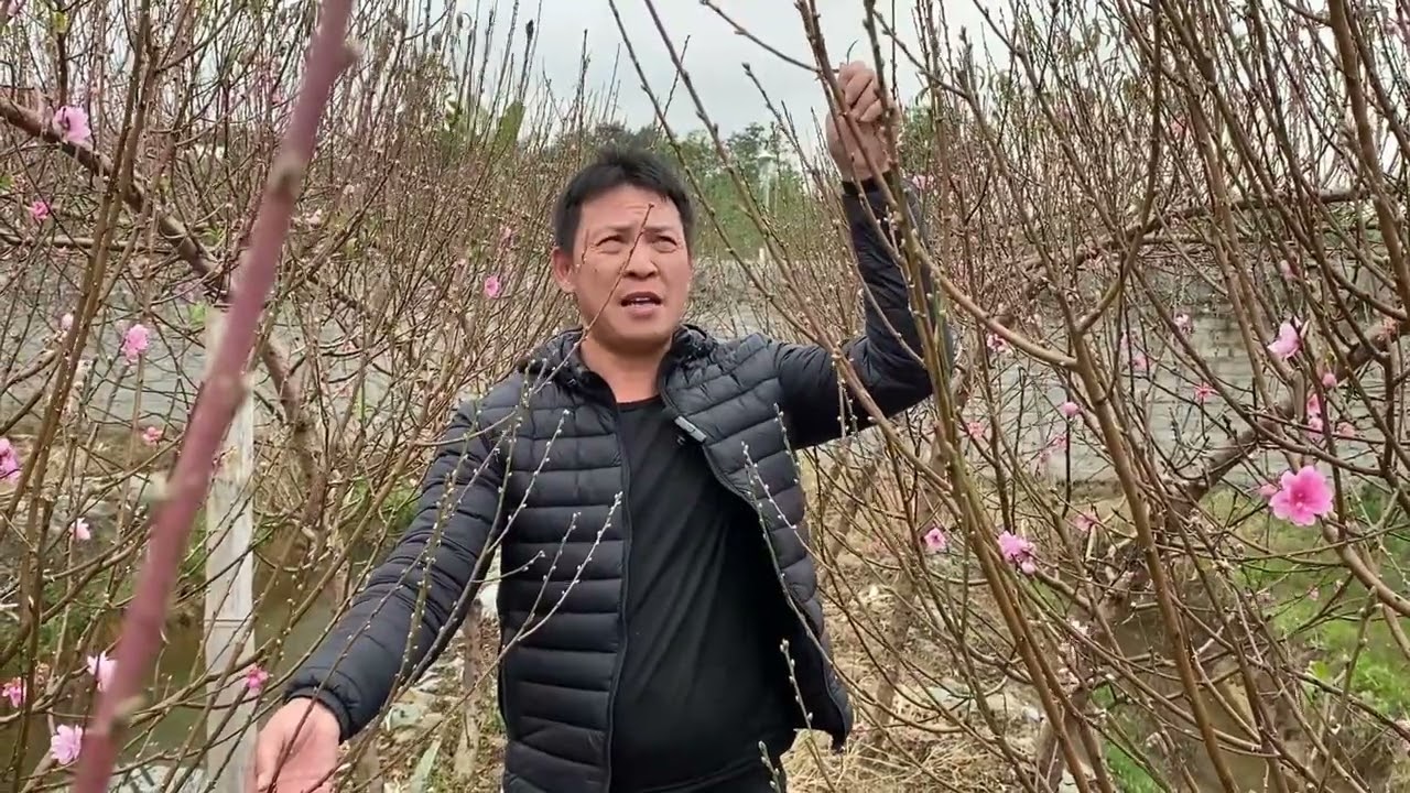 Lh. Nhà vườn nhé 12/ tháng chạp 0352730368 :2025