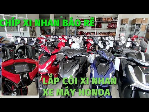 Video Chíp kêu xi nhan. Láp còi cho xi nhan xin rẽ. Còi chíp... - youtube
