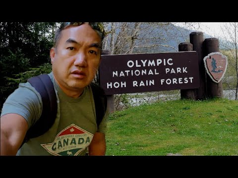 Moog Ncig Hoh Forest Nyob Olympic National Park 