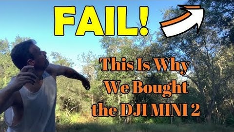 First Drone Crash / Mini 2 / Holy Stone 160 Shadow Drone