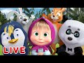 🔴 AO VIVO 👱♀️🐻 Masha e o Urso 🐾🛡 Patrulha da pata 🛡🐾 Masha and the Bear LIVE