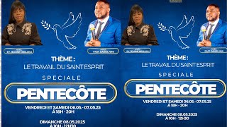 LE TRAVAIL DU SAINT ESPRIST REV NIMI GERMANY