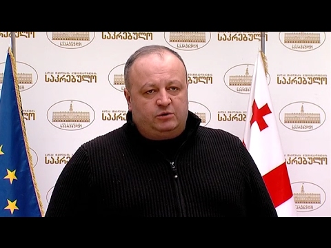 \"ევროპული საქართველოს\" წევრის თამაზ შოშიაშვილის ბრიფინგი