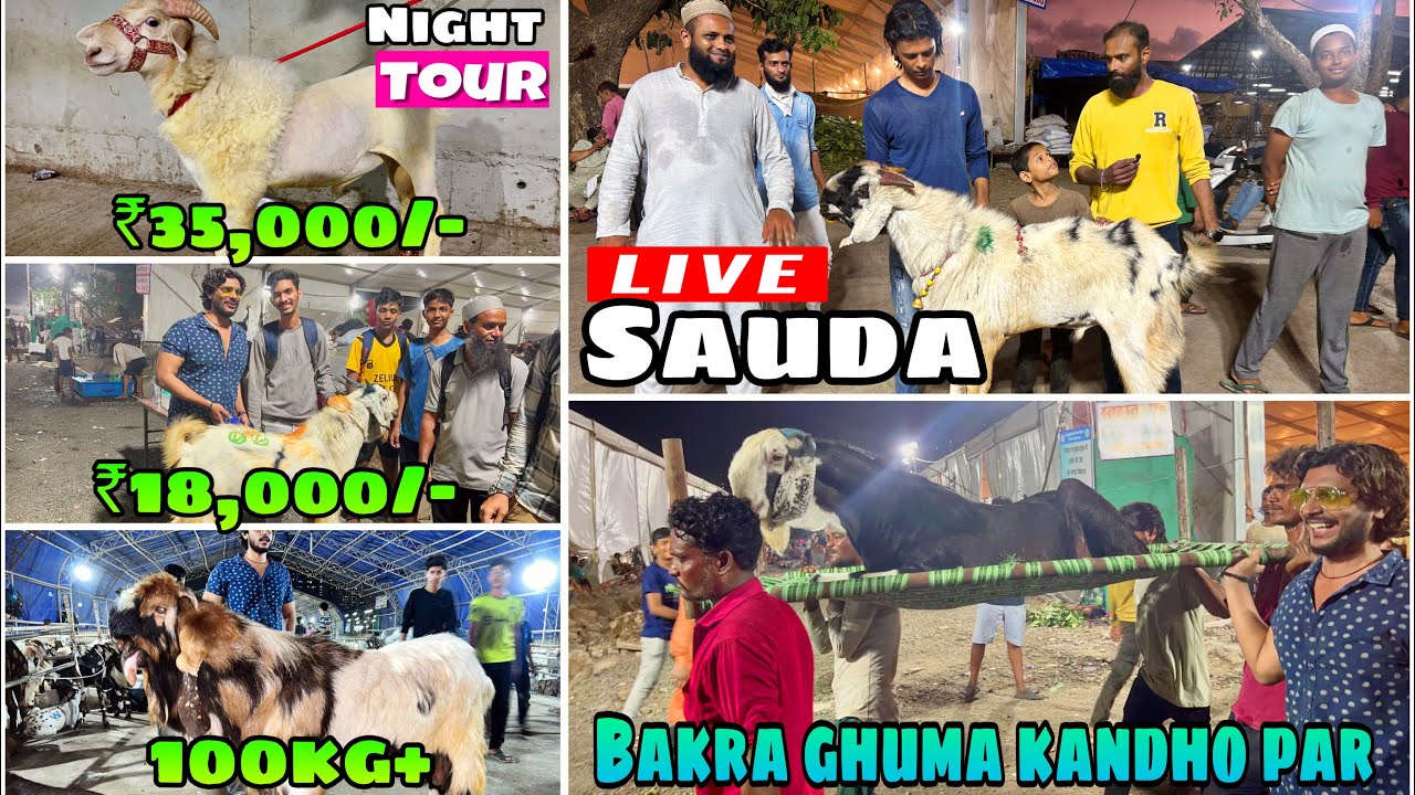 Deonar bakra mandi day 2 night tour full entertainment ke saath