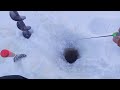 Безмотылки сделали рыбалку.