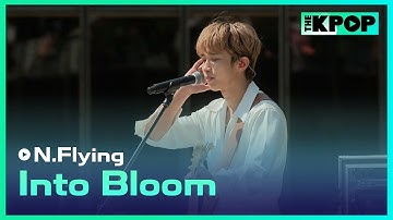 엔플라잉(N.Flying) - 피었습니다. (Into Bloom)ㅣ라이브 온 언플러그드(LIVE ON UNPLUGGED) 엔플라잉편