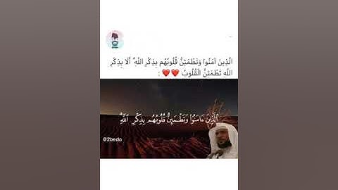 تلاوة خاشعة للشيخ القارئ : ماهر المعيقلي اللذين امنوا وتطمئن قلوبهم بذكر الله ♥️
