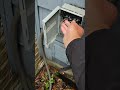 AC Technician Diagnoses Low Pressure Problem with Wiring #shorts