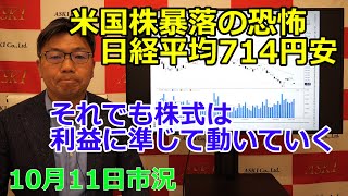 2022年10月11日【米国株暴落の恐怖　日経平均714円安　それでも株式は利益に準じて動いていく】（市況放送【毎日配信】）