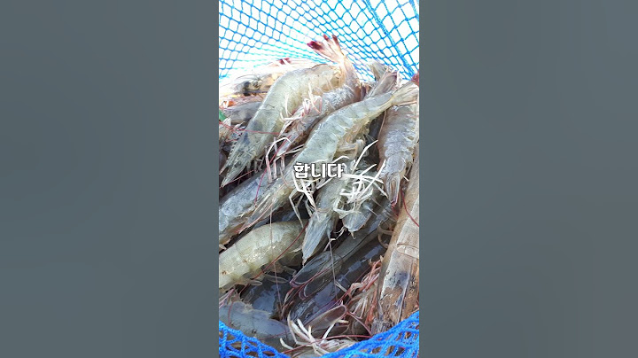 살아있는 새우의 한쪽 눈을 자르는 이유