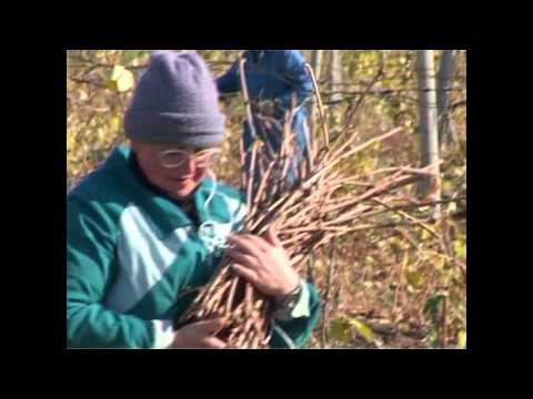 Вина "Винодельня Ведерниковъ"