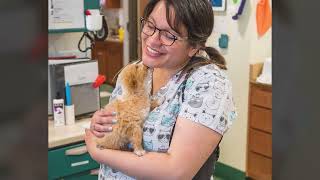 SpayToday Spay It Forward Program