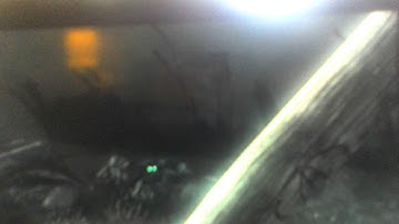 Fallout 3 secret stash  behind megaton