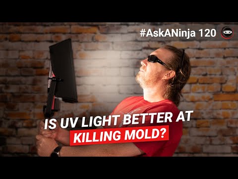 Is UV Light Better at Killing Mold? 